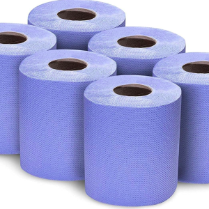 PROFESSIONAL TOWEL HP-CARE BLUE (CENTER PULL) 2-PLY,6 ROLLS,450 SHEETS-126M/TUBE=60 B2B